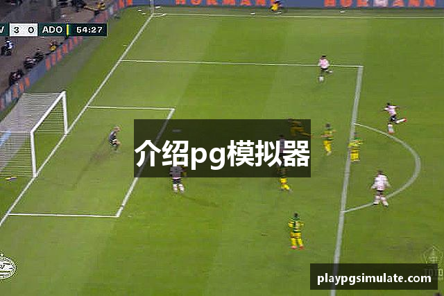 介绍pg模拟器